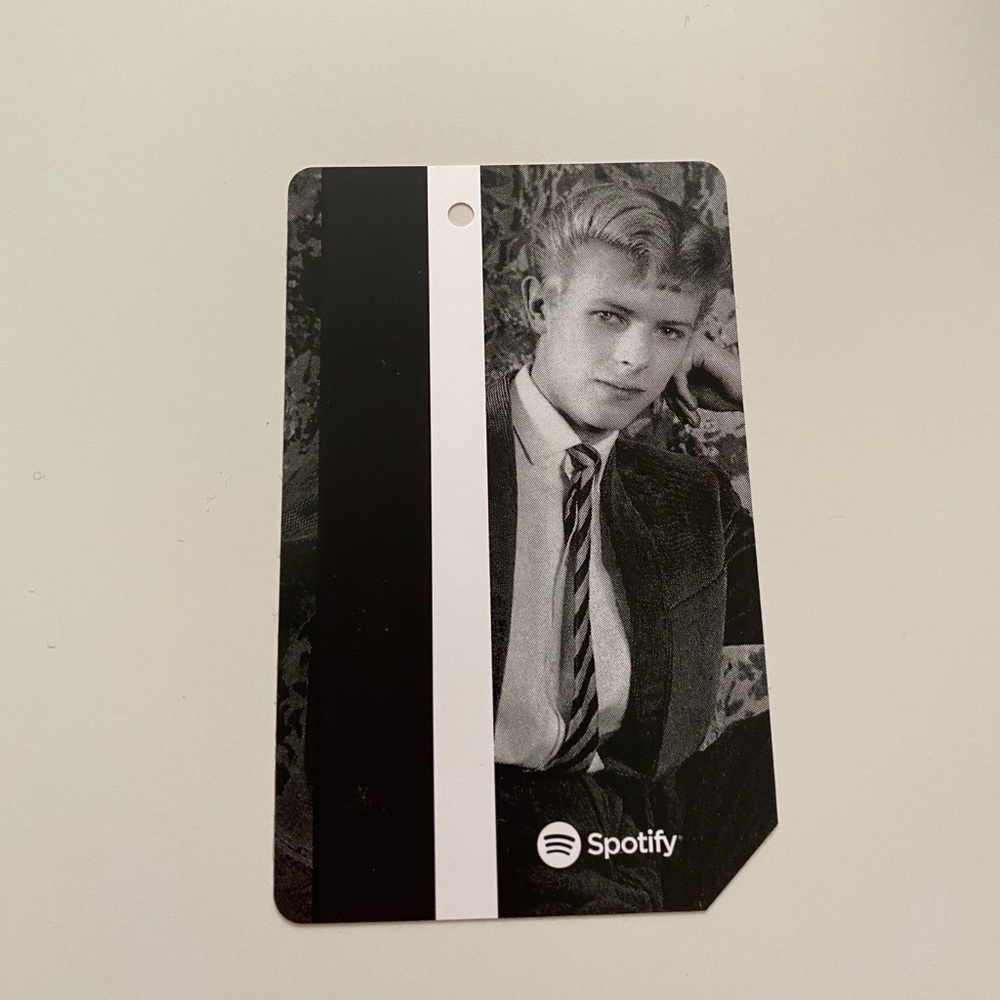 David Bowie metro card
